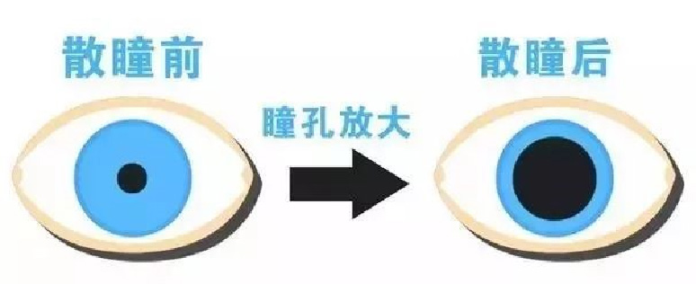未標題-2.jpg